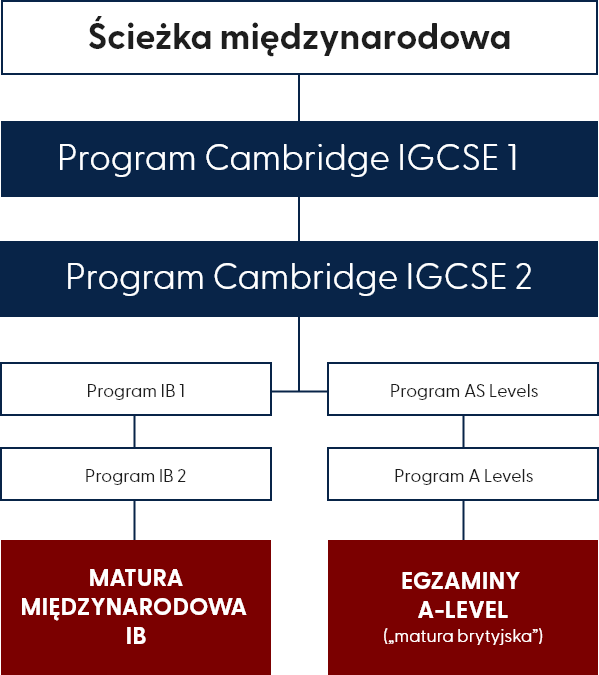 Liceum Te Vizja Program IGCSE Cambridge, Warszawa Centrum