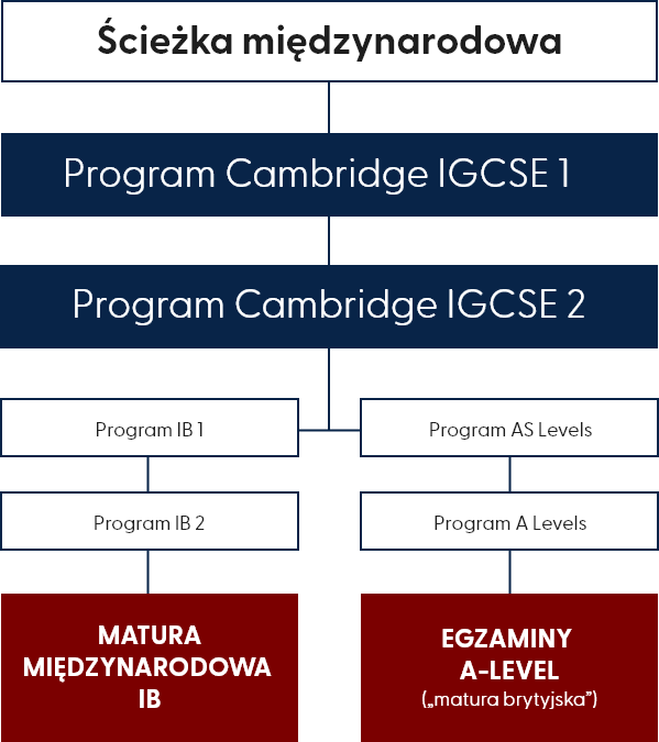 implementation program table